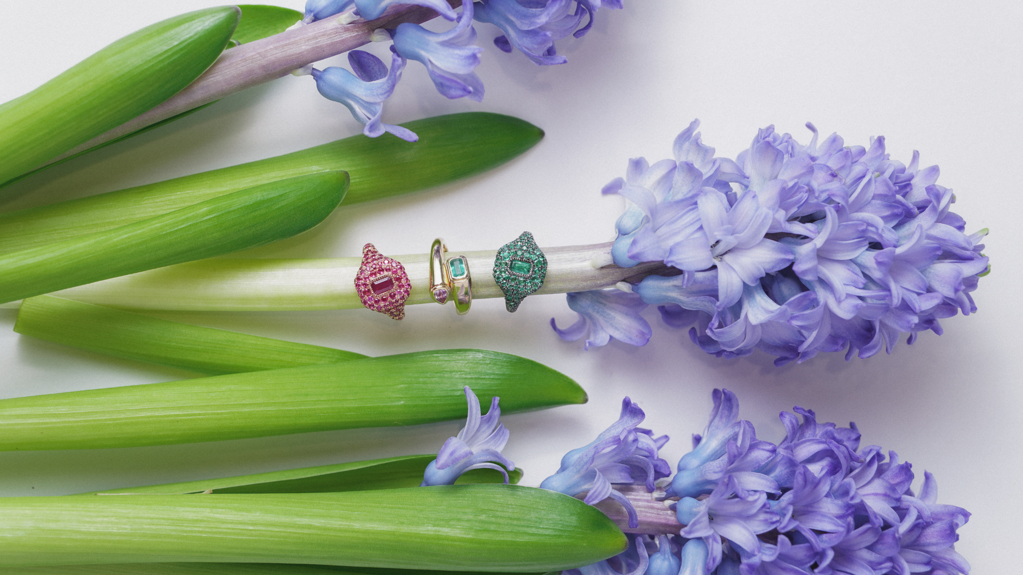 The Meaning of Nowruz: Persian New Year Traditions Through Our Family