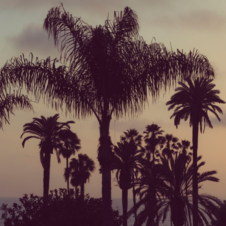 Top 4 LA Restaurants to Dine at Now