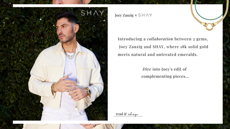 Exclusive Interview with Joey Zauzig x SHAY